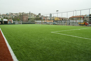 Outdoor Minifield Technical Specifications